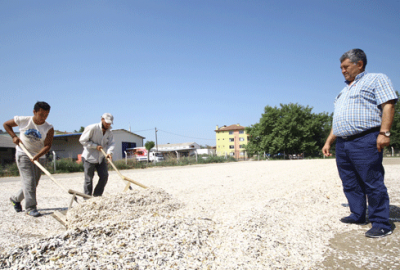 Yenişehir’de ayçiçeği hasadı