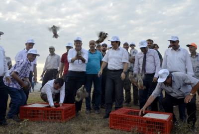 Bursa’da doğaya bin ‘kınalı keklik’ salındı