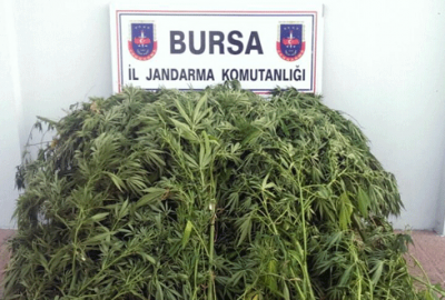 Bursa’da uyuşturucu operasyonu