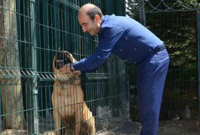 Yıldırım sokak hayvanlarına sahip çıkıyor