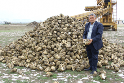 Pancar çiftçinin yüzünü güldürdü