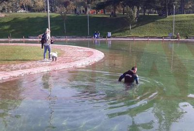 Cumhurbaşkanının ziyareti öncesi güvenlik taraması