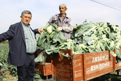 Kışlık sebzeler beklentiyi karşıladı