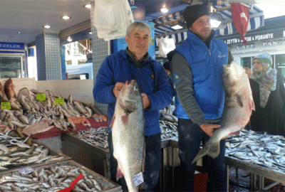 Mudanya’da balık bereketi