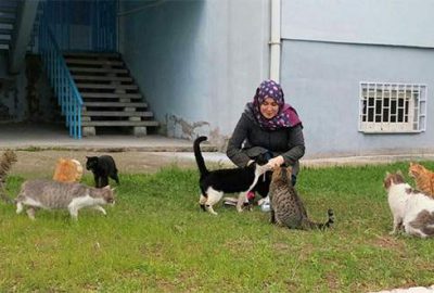 Devlet bursuyla sahipsiz kedilere bakıyor