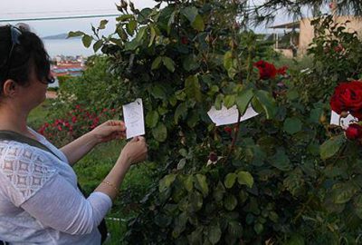 Hıdırellez ne zaman? Hıdırellez günü neler yapılır?