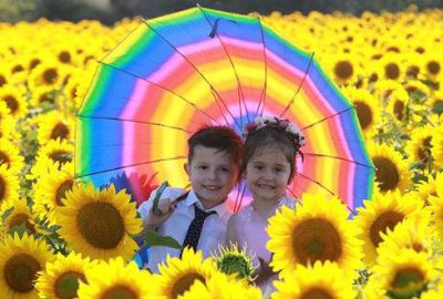 Ayçiçek tarlaları fotoğraf stüdyosuna döndü