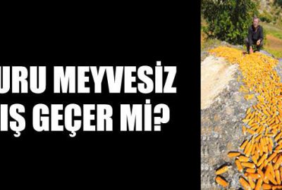 Kuru meyvesiz kış geçer mi?