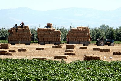 Saman üretimi talebi karşılamıyor