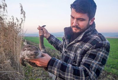 Bu kez Karacabey’de ortaya çıktı… 