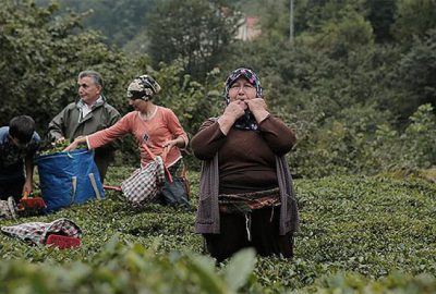 ‘Kuş dili’nin anavatanı Kuşköy’de UNESCO sevinci