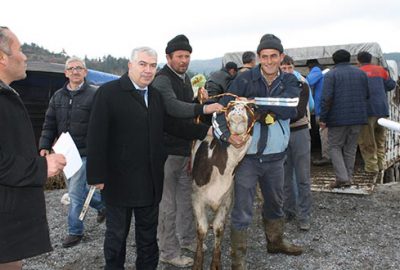 Orhanelili genç çiftçiye destek