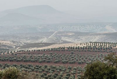 Zeytin Dalı Harekatı’nda 1141 terörist etkisiz hale getirildi