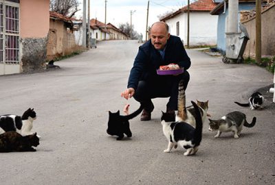 Mahallenin kedileri imamın yolunu gözlüyor