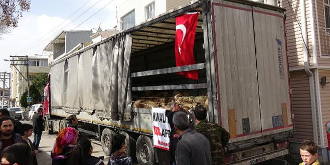 Bursa’dan Mehmetçiğe 80 küçükbaş hayvan gönderdiler