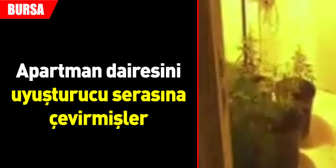 Apartman dairesini uyuşturucu serasına çevirmişler