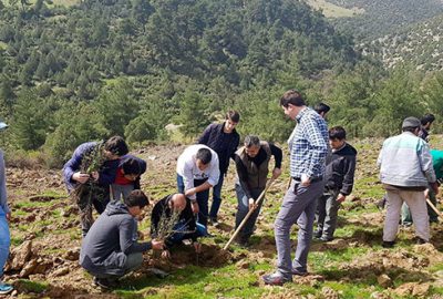 Yaban hayatına meyve fidanları ile destek