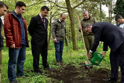 Yaban hayvanlarına meyve fidanı