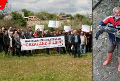 Dereden su içen oğlak öldü, köylüler ayaklandı