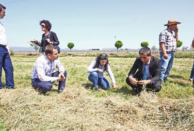 Yenişehir’de mera alanları genişleyecek