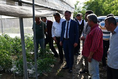 Taban: İnegöl tarımda yükselen bir değer