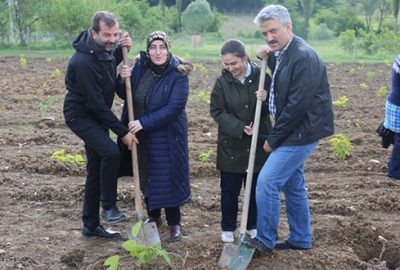 İpekböcekçiliği Gürsu’da yeniden canlanacak