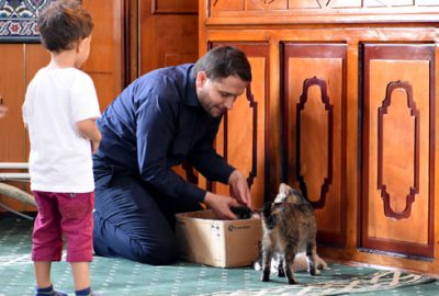 Camide yavrulayan kediye imam sahip çıktı