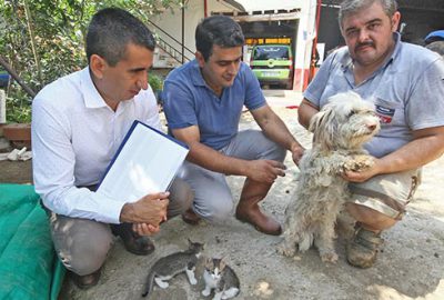 Hayvan aşılatmada bilinç artıyor