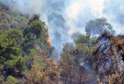 Bursa’dan bir orman yangını haberi daha