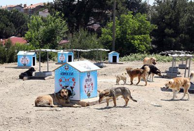 Mudanya Belediyesi’ne sağlıklı çevre ödülü