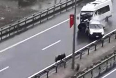 Yola çıkan kurbanlık boğa kazaya neden oldu