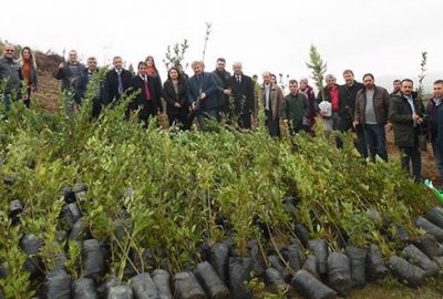 Öğretmenlerden doğaya 150 fidan