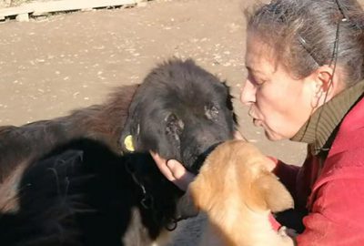 Doğuştan iki gözü olmayan köpeğe bebeği gibi bakıyor