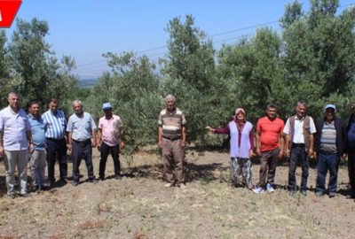 Arazi işgalinden bütün köy hapis tehdidi altında