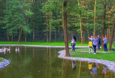 ‘Avrupa’nın en büyük doğal yaşam parkı’ film seti oldu