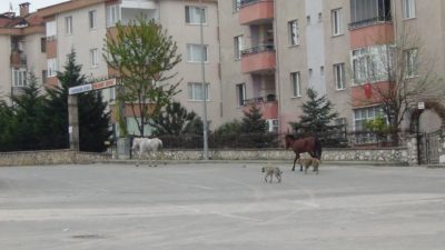 Bursa onlara emanet… Boş sokak ve caddelerin keyfini sürdüler…