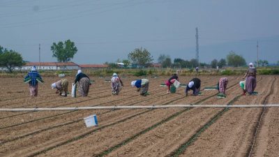 Çiftçiye müjde! Ücretsiz alacaklar…