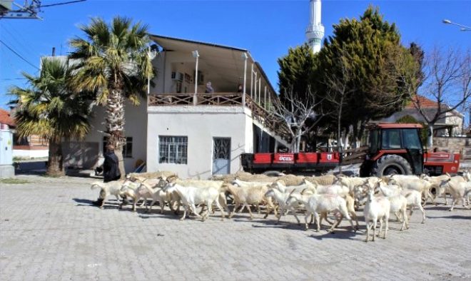 Mazisi 1800'lü yıllara dayanıyor! Çıplakköy'ün tabelasını gören