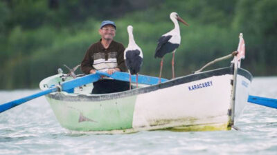 Kısıtlama kalktı, Adem Amca ile Yaren leylek buluştu