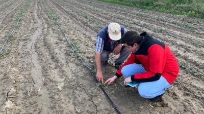 Mustafakemalpaşa’da çiftçiye destek hız kazandı