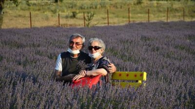 En özel anların dekoru ‘mor tarlalar’