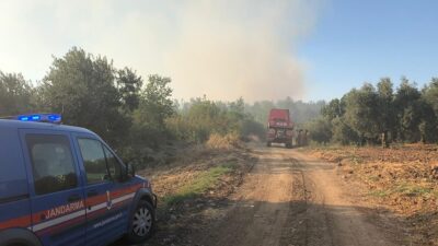 Bursa’da orman yangını