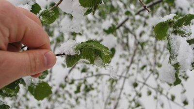 Hava sıcaklığı sıfırın altına düşecek! İşte o şehirler…