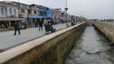 Bursa’da sahilde korkutan görüntü