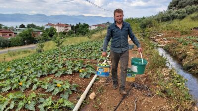 Bursa’da kabak hasadı başladı