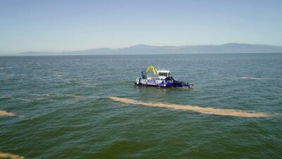 Mudanya’da deniz salyası temizliği başladı