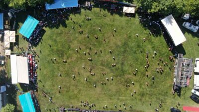 Bursa’da Geleneksel Çalı Yağlı Güreşlerine yoğun ilgi