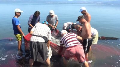 İznik gölünde tedirgin eden durum! Her geçen gün azalıyor…