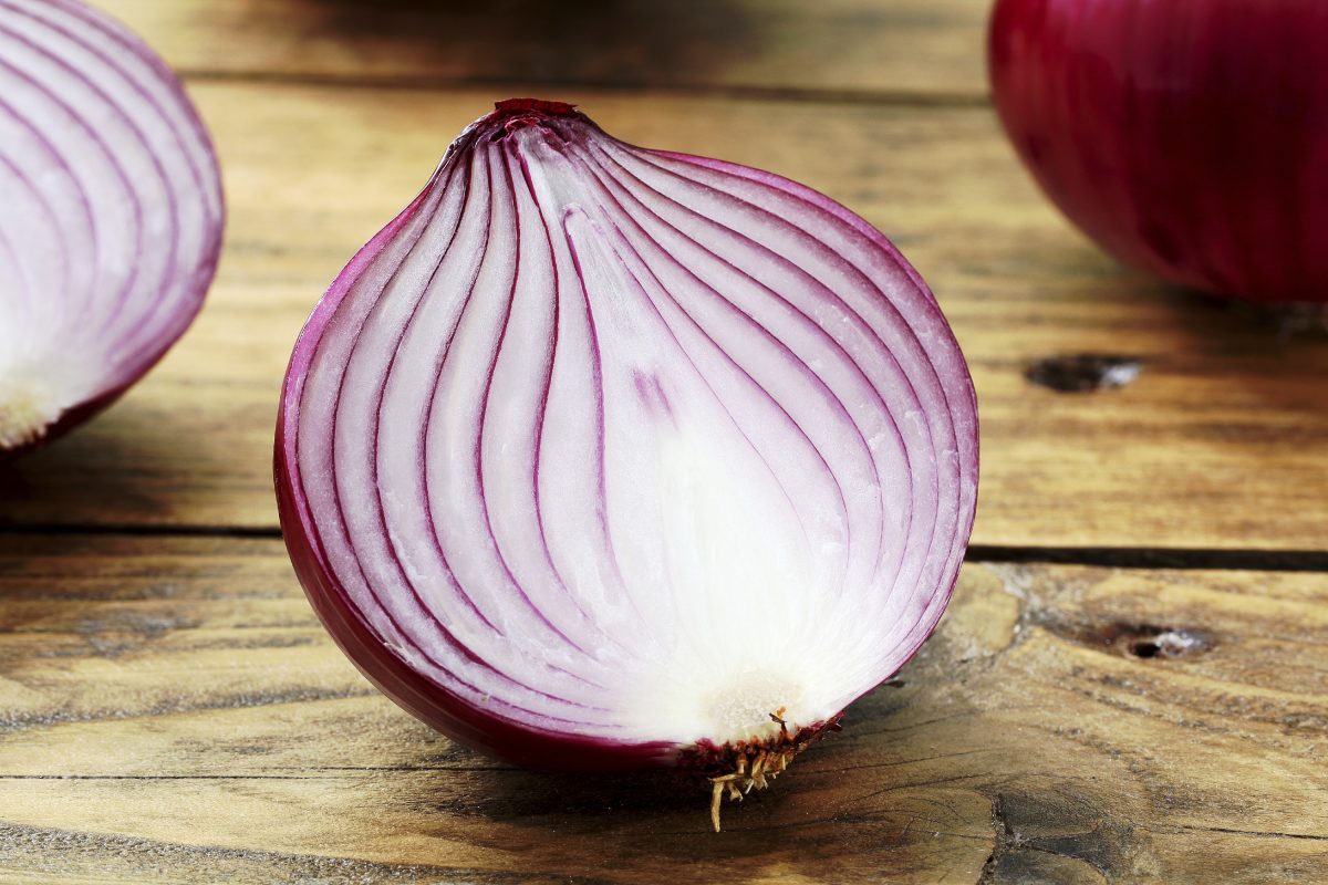 Onion Boott