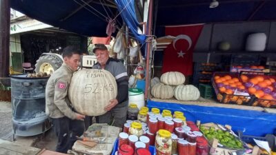 Bursa’da bir bakan bir daha bakıyor! Görenleri şaşırtıyor